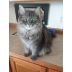 Image 7 of customer photos