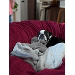 Image 4 of customer photos