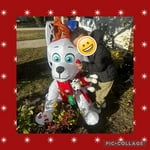 Image 2 of customer photos