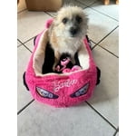 Image 7 of customer photos