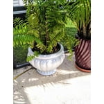 Image 7 of customer photos