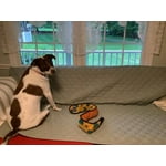 Image 6 of customer photos