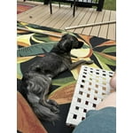 Image 1 of customer photos