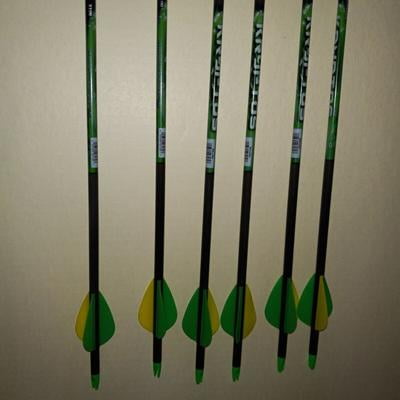 Customer reviews for Allen Company Kryptos Carbon Arrow, 31