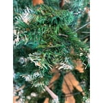 Image 6 of customer photos