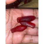 Image 7 of customer photos