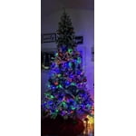 Image 2 of customer photos