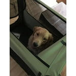 Image 7 of customer photos