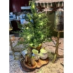 Image 7 of customer photos