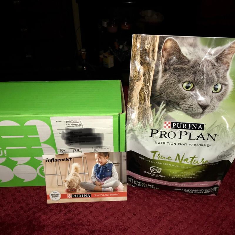 true nature cat food