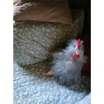 Image 3 of customer photos