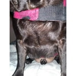 Image 7 of customer photos