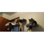 Image 6 of customer photos