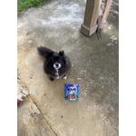 Image 6 of customer photos