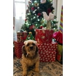 Image 2 of customer photos