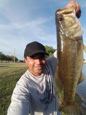 ugly stik dock runner walmart