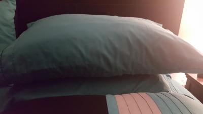 Sertapedic Cool Slumbergel Pillows Standard Queen Set Of 2