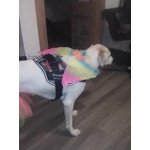 Image 5 of customer photos