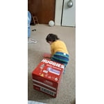 Image 5 of customer photos