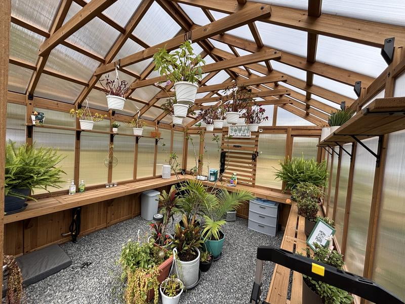 Backyard Discovery 11'x7' Traditional Cedar Greenhouse - DIY