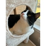 Image 6 of customer photos