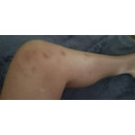 Image 6 of customer photos