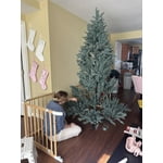 Image 6 of customer photos