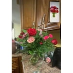 Image 1 of customer photos