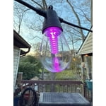 Image 5 of customer photos