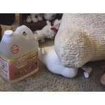 Image 3 of customer photos