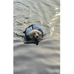 Image 3 of customer photos