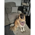 Image 2 of customer photos