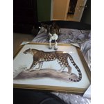 Image 4 of customer photos