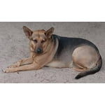 Image 6 of customer photos