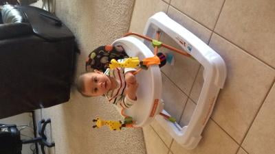 baby trend safari walker
