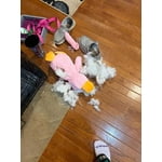 Image 1 of customer photos