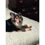 Image 3 of customer photos