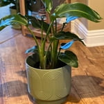 Image 5 of customer photos