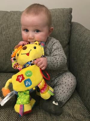 vtech crinkle and roar lion