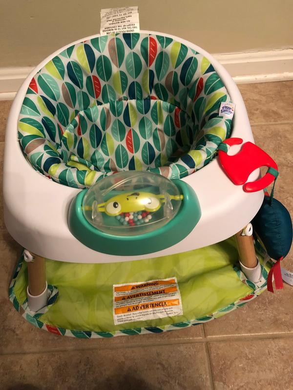 evenflo tiny tropics