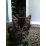 Image 7 of customer photos