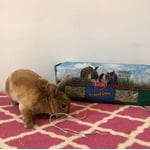 Image 1 of customer photos