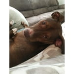 Image 3 of customer photos