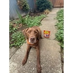 Image 6 of customer photos