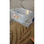 Image 2 of customer photos