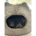 Image 6 of customer photos