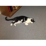 Image 5 of customer photos