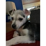 Image 7 of customer photos