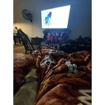 Image 6 of customer photos