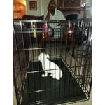 Image 5 of customer photos